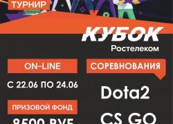 Киберспортивный турнир пройдет в Республике Алтай
