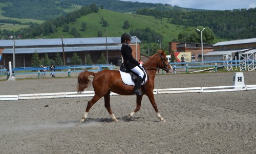 Чемпионат и Первенство на приз Кубка мэра города Горно-Алтайска по выездке на лошадях и пони: летний этап