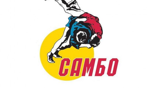 Итоги Всероссийского турнира по самбо,  посвященного 80-летию развития самбо в Российской Федерации.