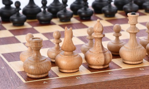 Онлайн турнир по шахматам пройдет в Республике Алтай