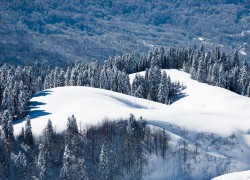 6 марта в Турочаке пройдет открытый оздоровительный ЛЫЖНЫЙ МАРАФОН #СалопТурSki на 10 и 20 км.