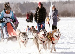 Открытый чемпионат и первенство региона по снежным дисциплинам ездового спорта пройдет в Майме