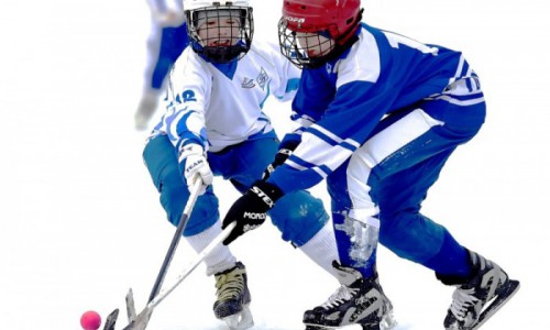 Федерация хоккея с мячом Республики Алтай объявила набор детей для занятий в секции