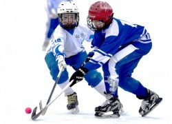 Федерация хоккея с мячом Республики Алтай объявила набор детей для занятий в секции