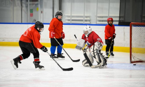 На днях в Атланте состоялась товарищеская игра по хоккею с шайбой 2010-2011 гг между командой 