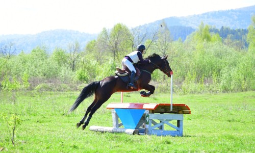 В Республике Алтай прошли традиционные региональные соревнования по конному спорту, посвященные памяти Алексея Иженеровича Ялбакова