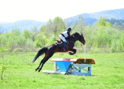 В Республике Алтай прошли традиционные региональные соревнования по конному спорту, посвященные памяти Алексея Иженеровича Ялбакова